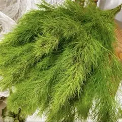 かずみ様 リクエスト 2点 まとめ商品