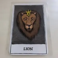 i-DLE (G)I-DLE ソヨン I burn トレカ LION