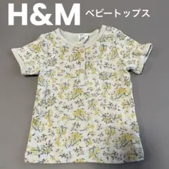 Item thumbnail for item cb1eb283-c5fd-46a0-9161-f9978c9c94c5