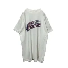 ⭐︎usa製⭐︎フルーツオブザルーム　ヘビーコットンTシャツ　XL