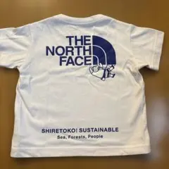 THE NORTH FACE SHIRETOKO Tシャツ　80