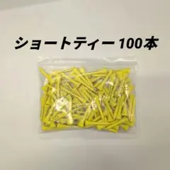 Item thumbnail for item 73d9ee40-1b09-42d9-a4d7-4107526bb75e