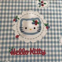ハローキティ　キティちゃん　はぎれ　布　生地　ベリー　ギンガムチェック平成レトロ
