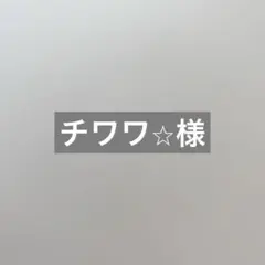 マナーベルト（M）5点チワワ様専用ページ