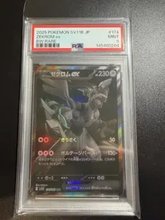 2026年最新】ゼクロム bw psa10の人気アイテム - メルカリ