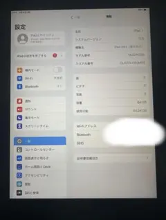 値下げ中 iPad mini5 WiFiモデル64GB スペースグレー