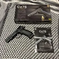 s*-様 Carbon8 CZ75 2ndバージョン　co2 ガスブローバックのサムネイル