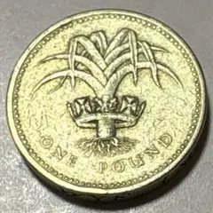 2026年最新】1ポンド 硬貨 1985の人気アイテム - メルカリ