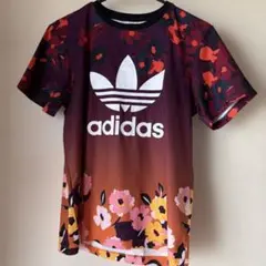 Item thumbnail for item b9a2d9af-b30a-4ad9-bc77-33facd008927