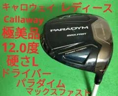 2025年最新】パラダイムドライバー レディースの人気アイテム