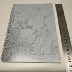 Item thumbnail for item da5a2efe-05b6-4c55-8eb7-cac6f60a4630