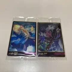 battle of tokyo トレカ FANTASTICSまとめセット2点