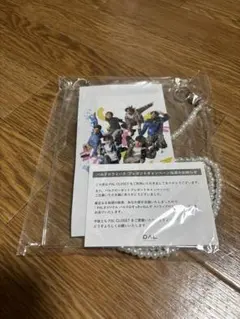 PAL CLOSET パルクロ　すっきゃねんず　ストラップ付きマルチケース