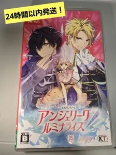 【24時間以内発送】アンジェリーク ルミナライズ【Switch】