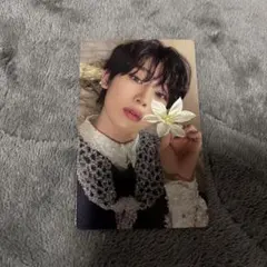 enhypen orange bloodソヌ