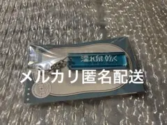 エイトリ　ルームキーホルダー　濡れ鼠、乾く