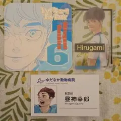 ハイキュー　昼神幸郎　FAN PARK紙類セット