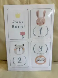 Item thumbnail for item 87d4d670-dfaa-40bb-9d13-4de483bf1d72