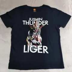 新日本プロレス 格闘技