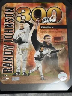 2025年最新】ランディジョンソンの人気アイテム - メルカリ