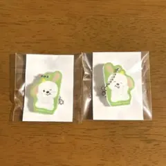 RIIZE ランダムトイ マグネットアクリルチャーム アントン L R 匿名