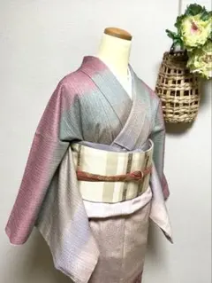 きもの英 単衣 洗える着物 同寸の夏襦袢とセットで - メルカリ