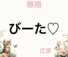 専用