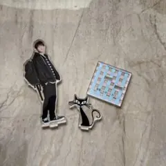 SnowMan 渡辺翔太　アクスタ　青島くんはいじわる