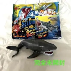 アンドコ 海の恐竜コンプリート 17体 非売品付き アンドコ 海の恐竜コンプリート 17体 非売品付き Amazon.co.jp