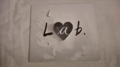 go! go! vanillas Lab. 初回限定盤 バニラズ CD