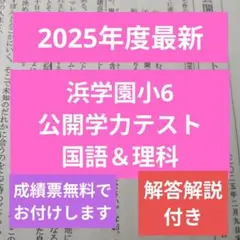 2026年最新】浜学園 公開テスト 小6の人気アイテム - メルカリ