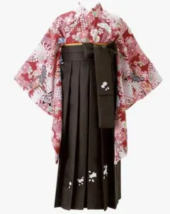 卒業式　袴セット　女の子　160