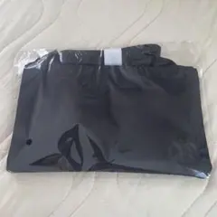 &TEAM 入会特典　サコッシュ
