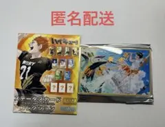 ハイキュー!! ステータスカードコレクション シークレット