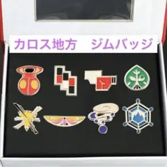 【新品】ポケモン　カロス地方　ジムバッジ　コンプリートセット　XY