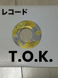 T.O.K. I Believe / Tai Chi レコード　レゲエ