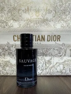 Dior SAUVAGE Eau de Parfum 100ml