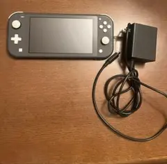 Nintendo Switch Lite グレー 本体 ACアダプター付き
