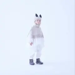 エルフィンフォルク