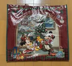TDR 限定品 廃盤 ショッピングバッグ クリスマス2024年 ディズニー