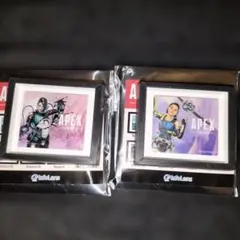 APEX マグネット フレームシーズンアート C　カタリスト　コンジット　2点