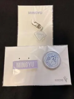 SEVENTEEN 2020ドームツアー MINGYUセット
