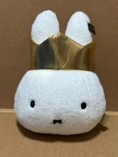 Item thumbnail for item ab062014-0747-466f-aa67-eb1e2a2a052c