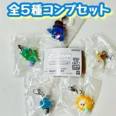 コンプ　JOCHUM めじるしアクセサリー1 全5種セット　ジェオチャム