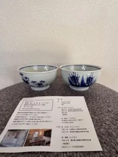 映画「南極料理人」に登場）6.5寸 ラーメン丼 1つ - メルカリ