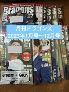 月刊ベイスターズ 2003年 12冊コンプリートセット - メルカリ