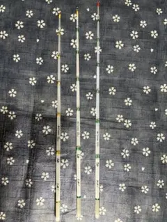 Item thumbnail for item 2cf40001-dbc3-40e0-b249-ad9a97100f27