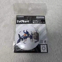 ハイキュー!! 日向翔陽 缶バッジ 飛翔