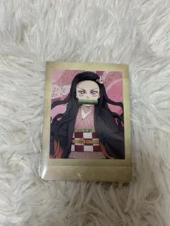 鬼滅の刃　ぱしゃこれ　竈門禰豆子