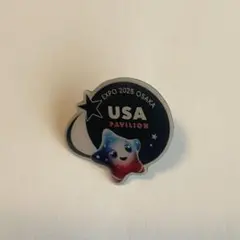 2025年最新】アメリカ館ピンバッジの人気アイテム - メルカリ